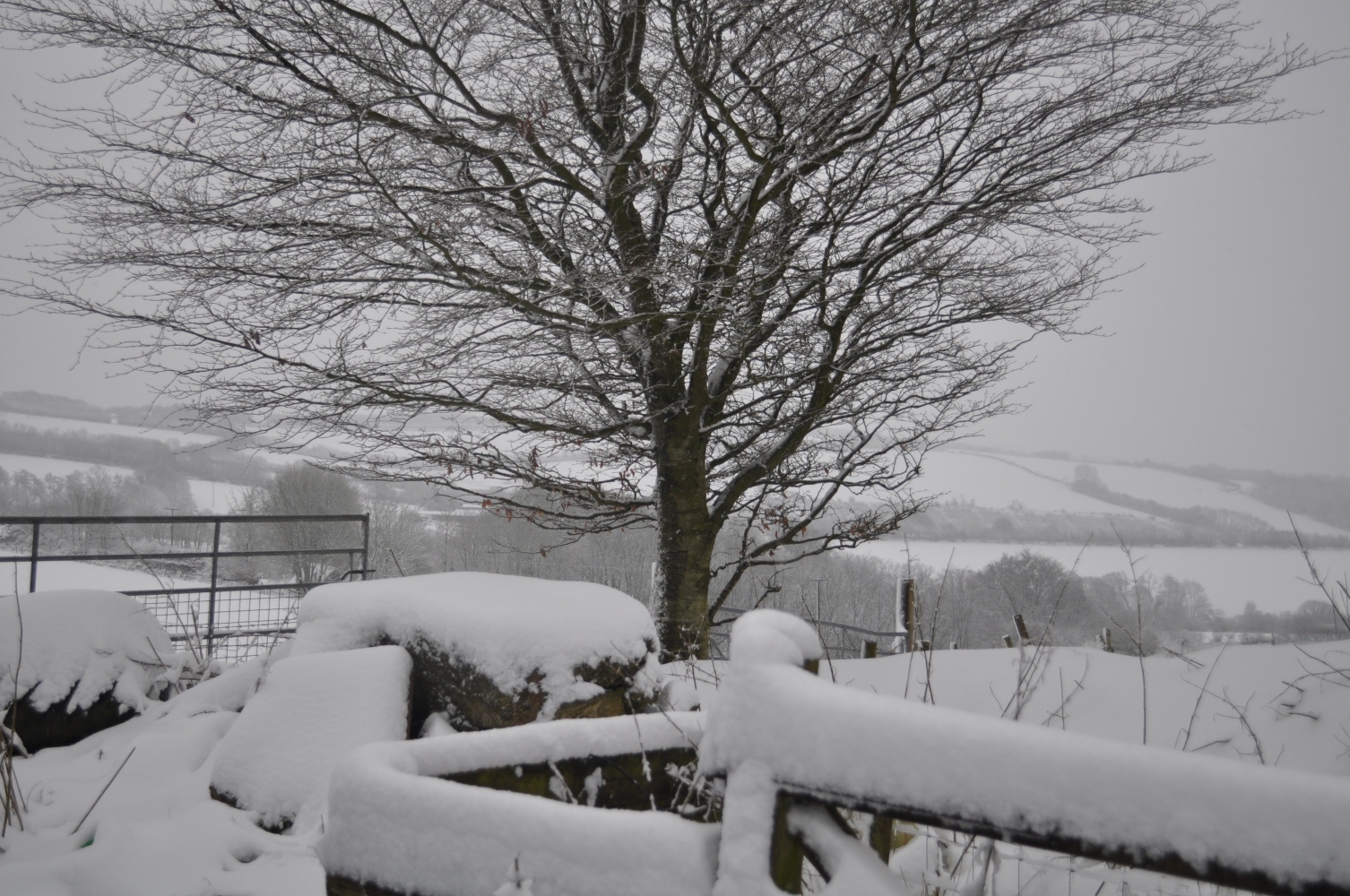 Snow in Somerset